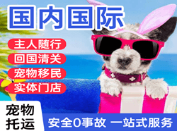 新源那拉提航空邮寄国际宠物托运 【国